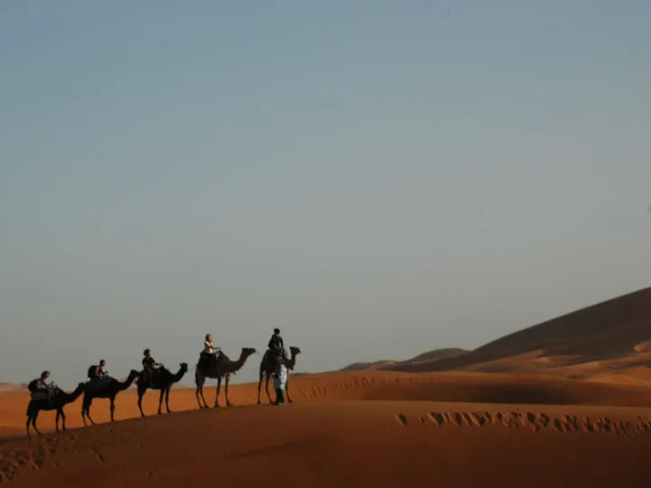Cammello e notte in un campo nel deserto di Merzouga